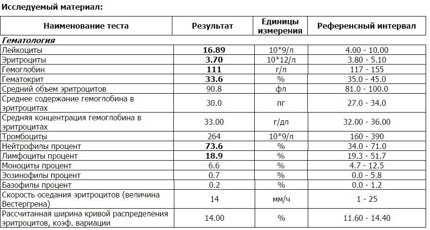 Статьи и новости медцентра элиса  - общий анализ крови - зачем он нужен и что покажет?