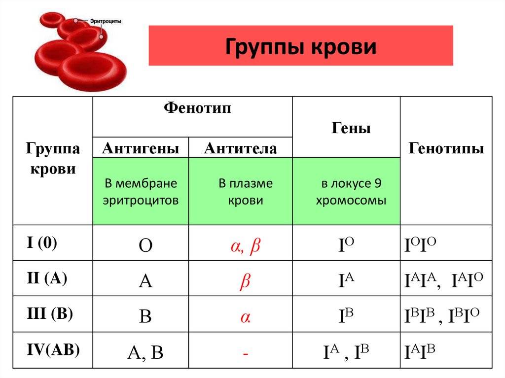 Определение группы крови: цоликлоны, стандартные сыворотки и перекрестный способ.