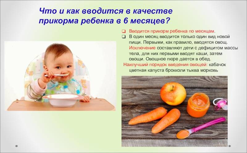 Прикорм малыша: как вводить морковь в прикорм прикорм младенца когда вводить фруктовые пюре в прикорм