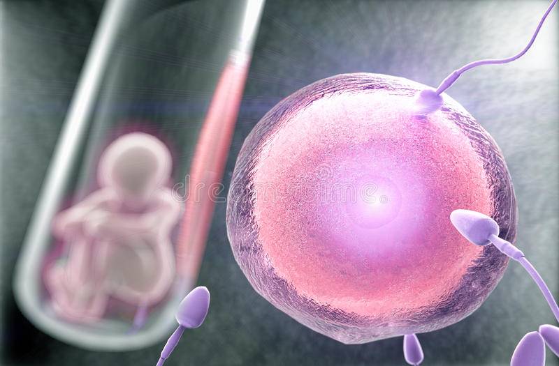 Как происходит замораживание эмбрионов?
