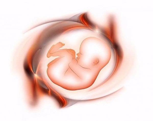 Не чувствуются шевеления плода на 17, 18, 19 и 20 неделях беременности: причины и что делать, отзывы
