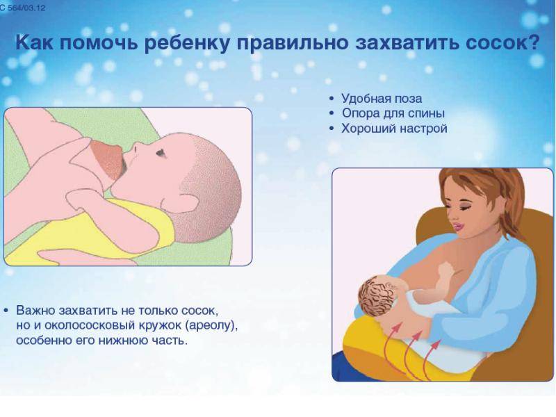 Как правильно прикладывать малыша к груди при грудном вскармливании