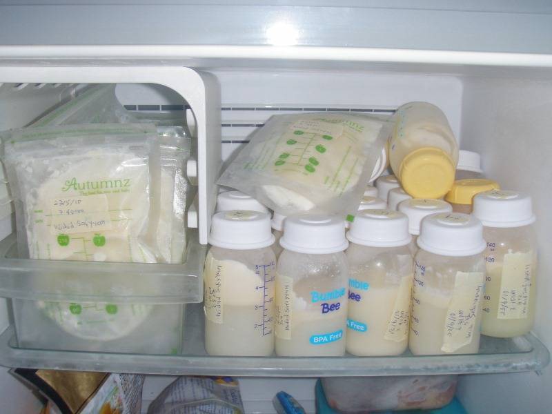 Сколько хранится грудное молоко в холодильнике (сцеженное), срок хранения
