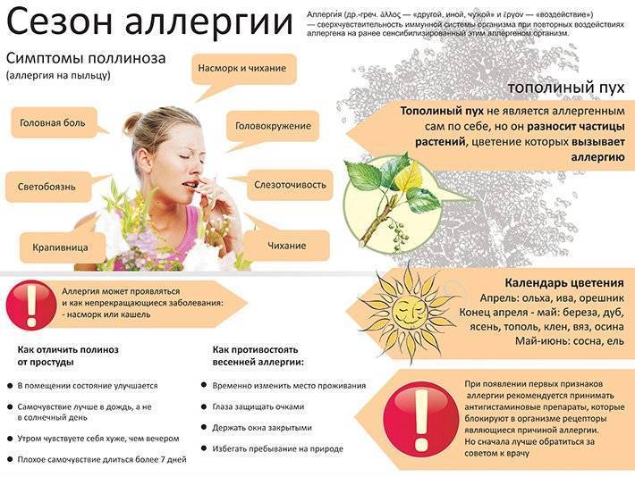 Лечение аллергического ринита и кашля, диагностика заболевания, профилактические меры