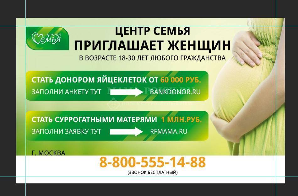 Сколько стоят услуги суррогатной матери в россии с 2021 года
