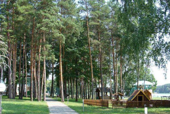 Отдых в беларуси: 10 санаториев, куда можно поехать самому или отправить родителей