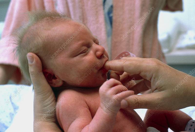 Проблемы вскармливания новорожденных детей | eurolab | научные статьи