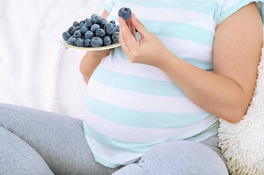 Дыня при беременности - польза и вред